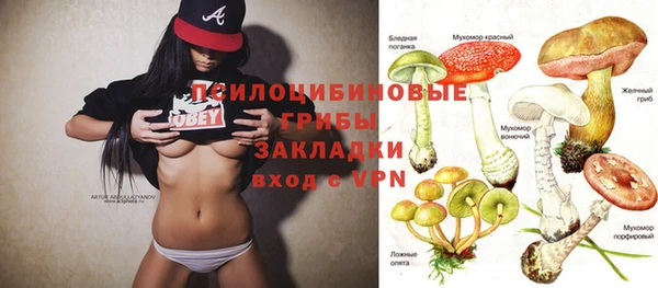 ECSTASY Алексеевка